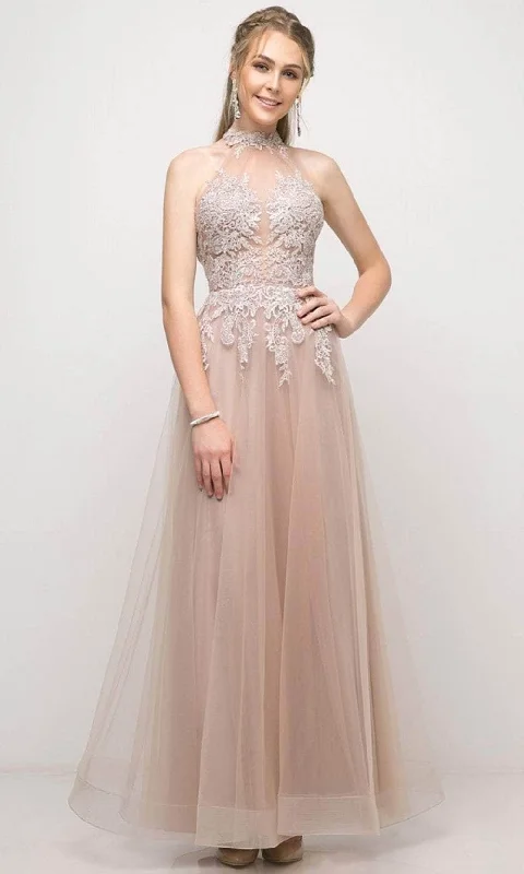 Final Clearance Cinderella Divine UT252 - Tulle High Neck Embroidered Gown