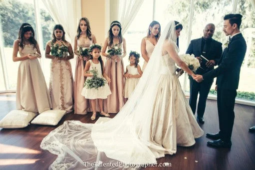 Price Meltdown Alfred Angelo 882