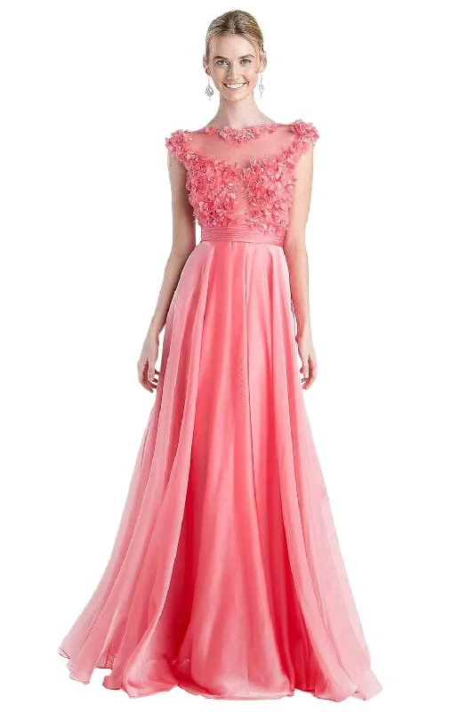 Today’s Deal Cinderella Divine - CJ218 Applique Bateau Chiffon A-line Dress